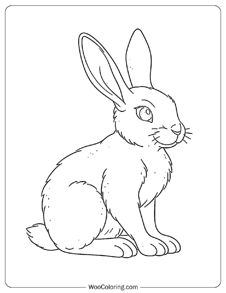 Rabbit Basics Coloring In For Kids