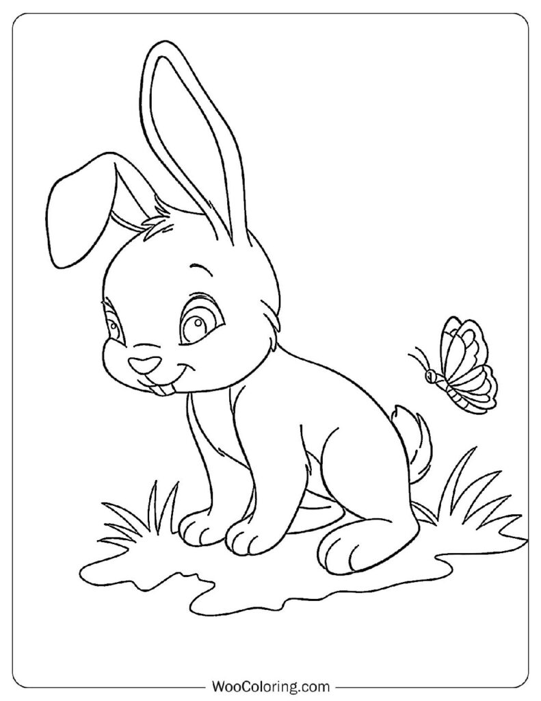 Rabbit and Butterfly