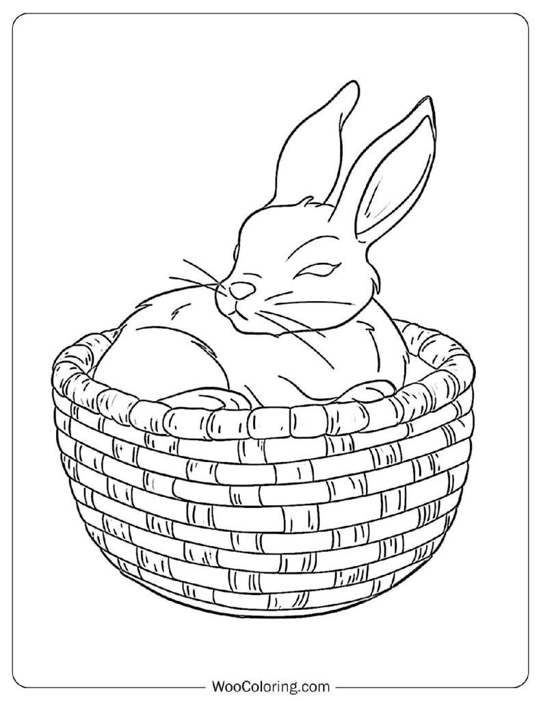 Rabbit in a Basket For Kids