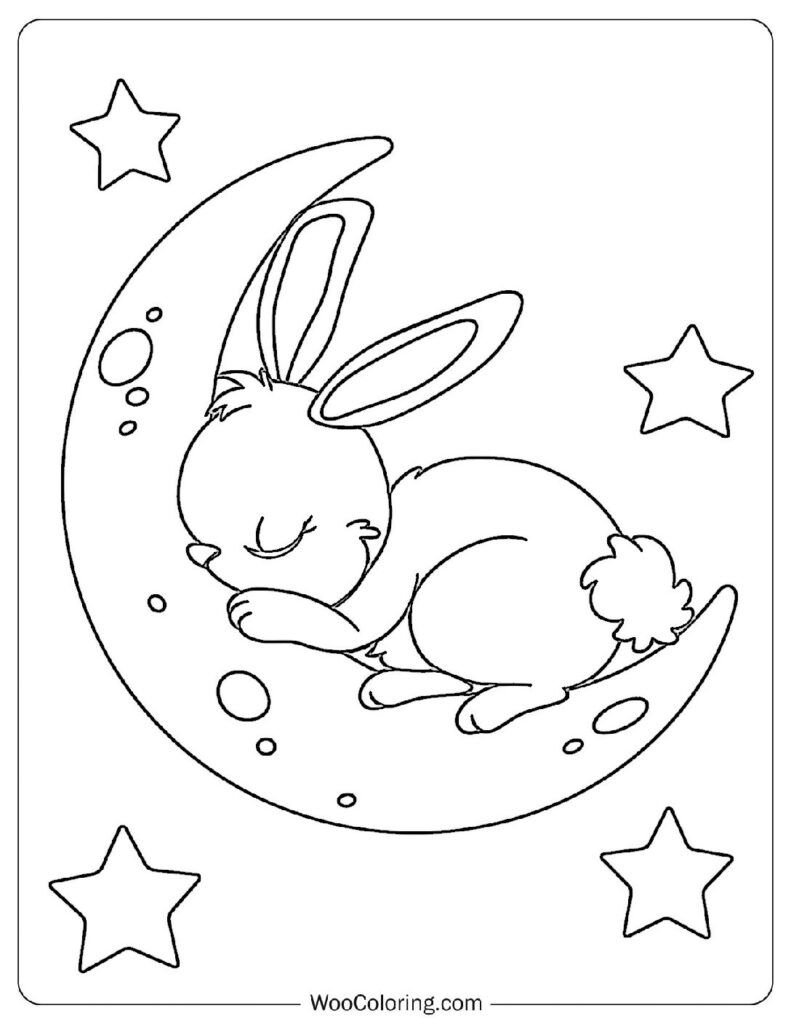 Rabbit's Nighttime Rest