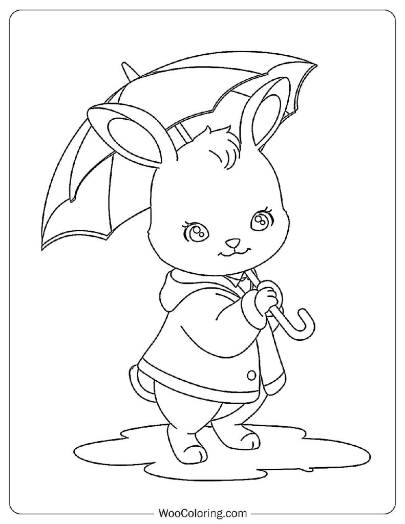 Rabbit's Rainy Adventure