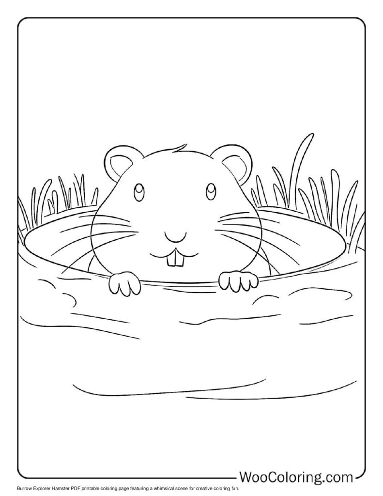 100  Hamster coloring pages  Free PDF To Print  - 66