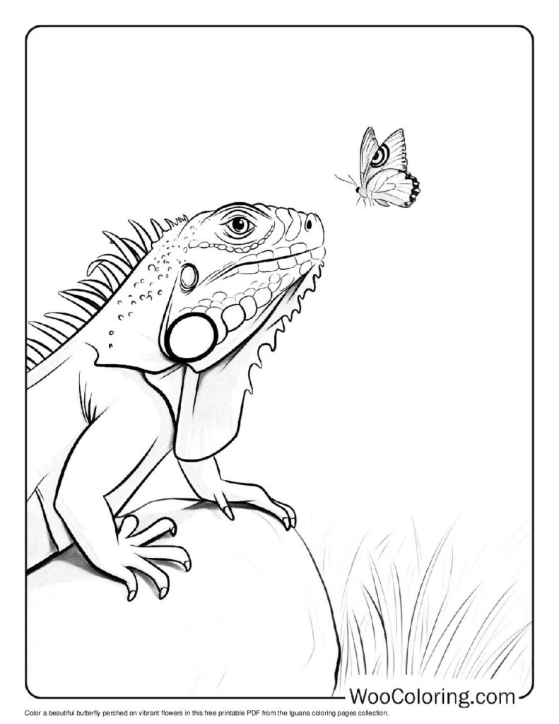 100 Iguana coloring pages Free PDF To Print - 46