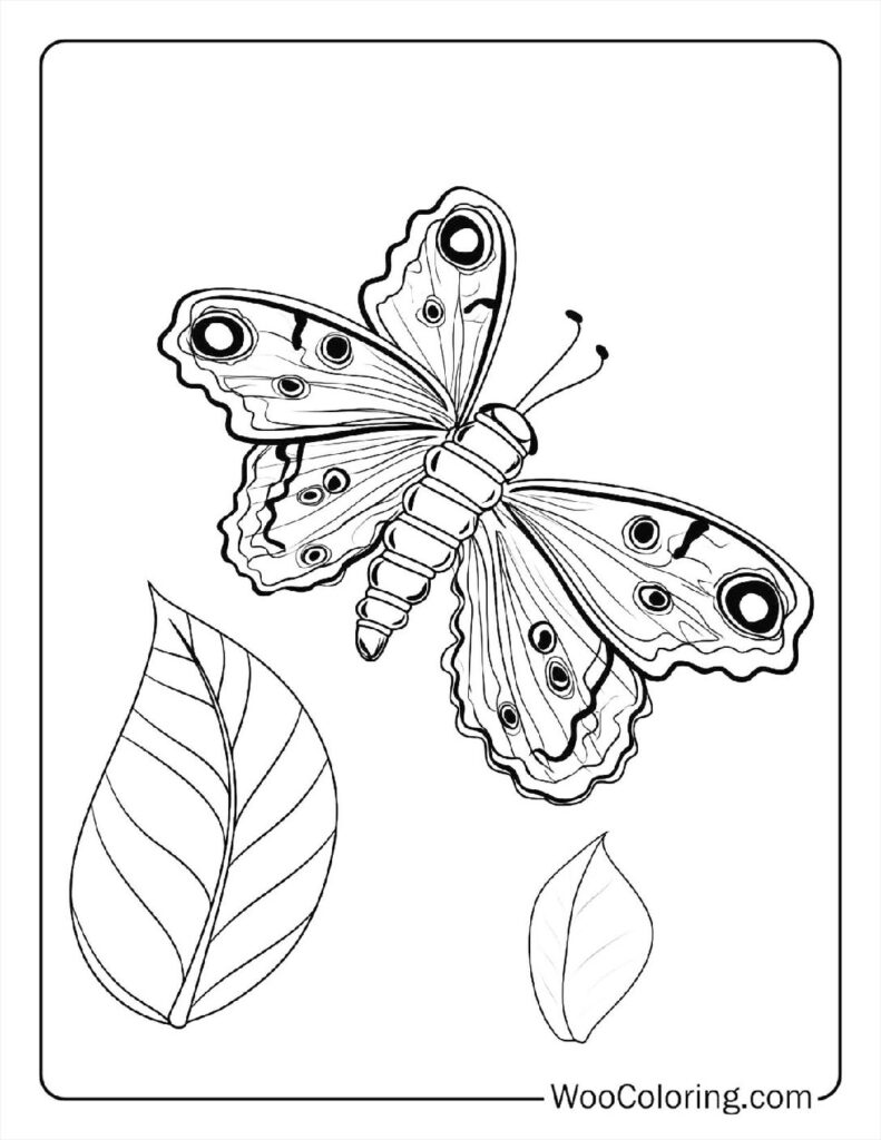 100  Butterfly coloring pages  Free PDF To Print  - 22