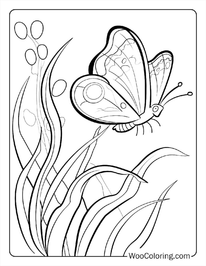 100  Butterfly coloring pages  Free PDF To Print  - 80