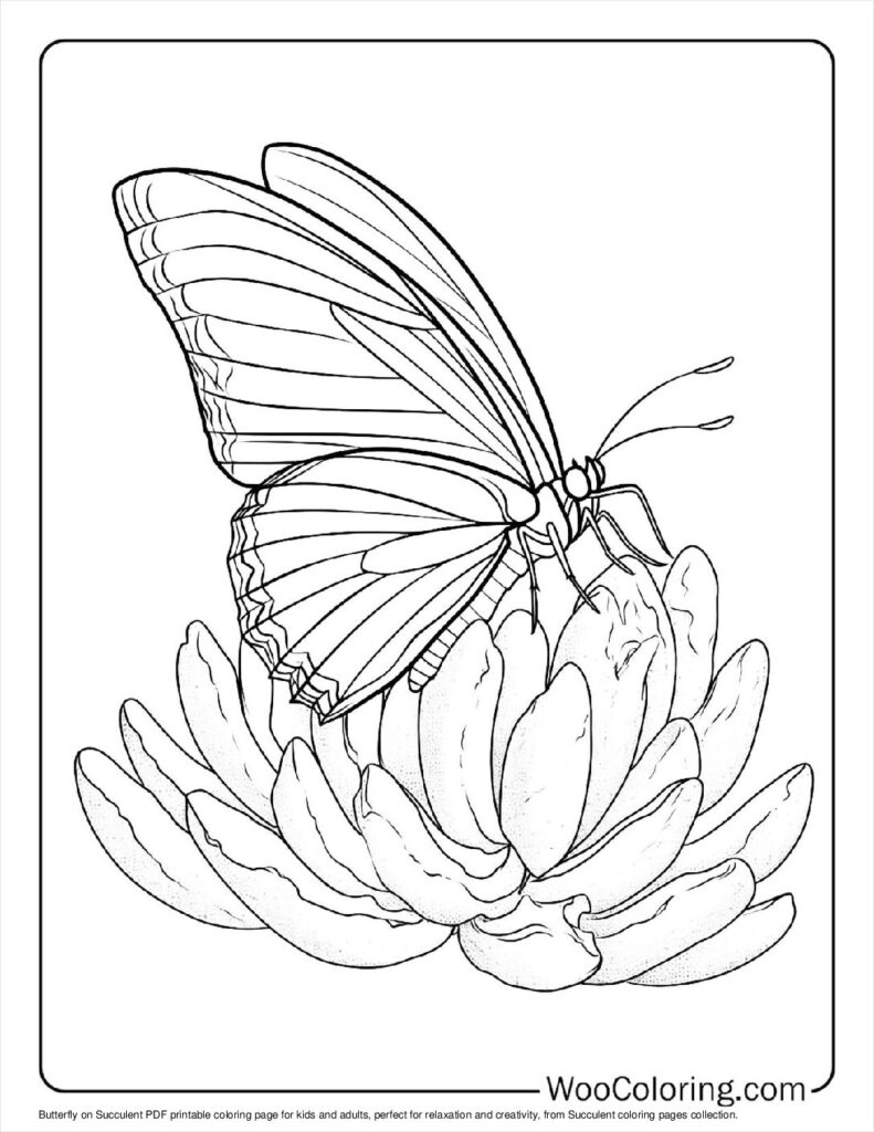 100  Succulent coloring pages  Free PDF To Print  - 85