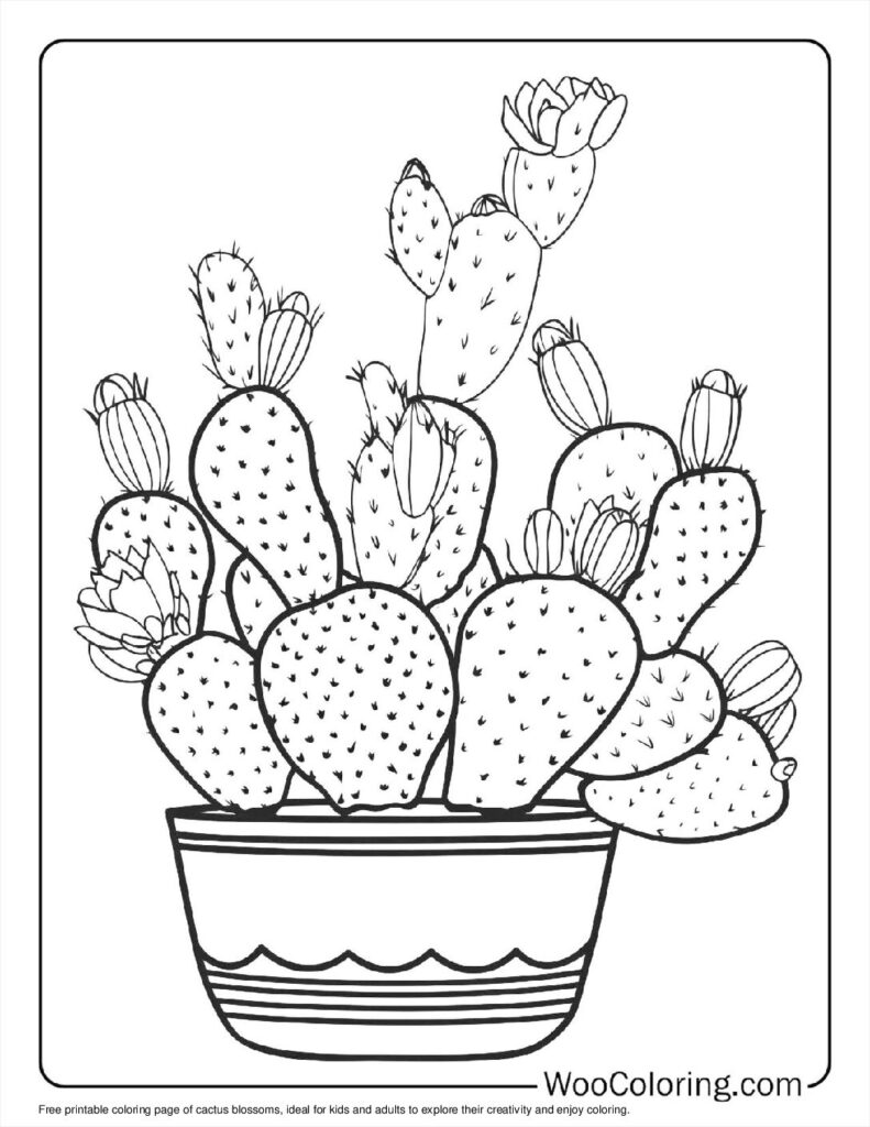 100  Cactus coloring pages  Free PDF To Print  - 75
