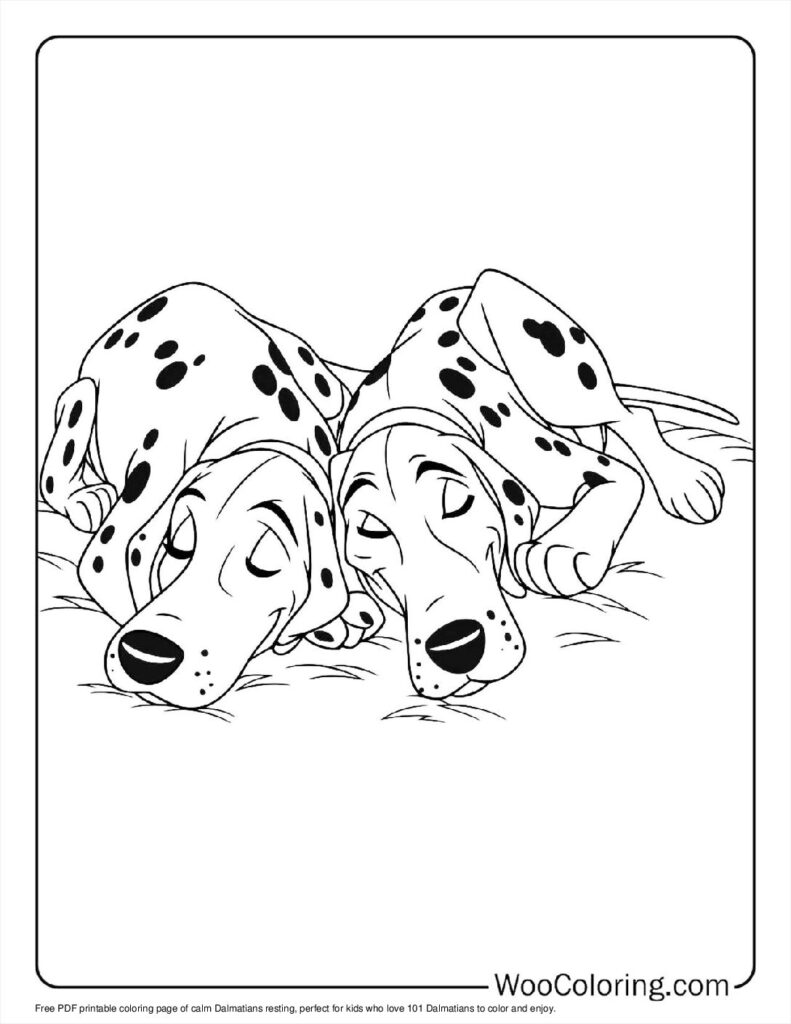 Calm Dalmatians
