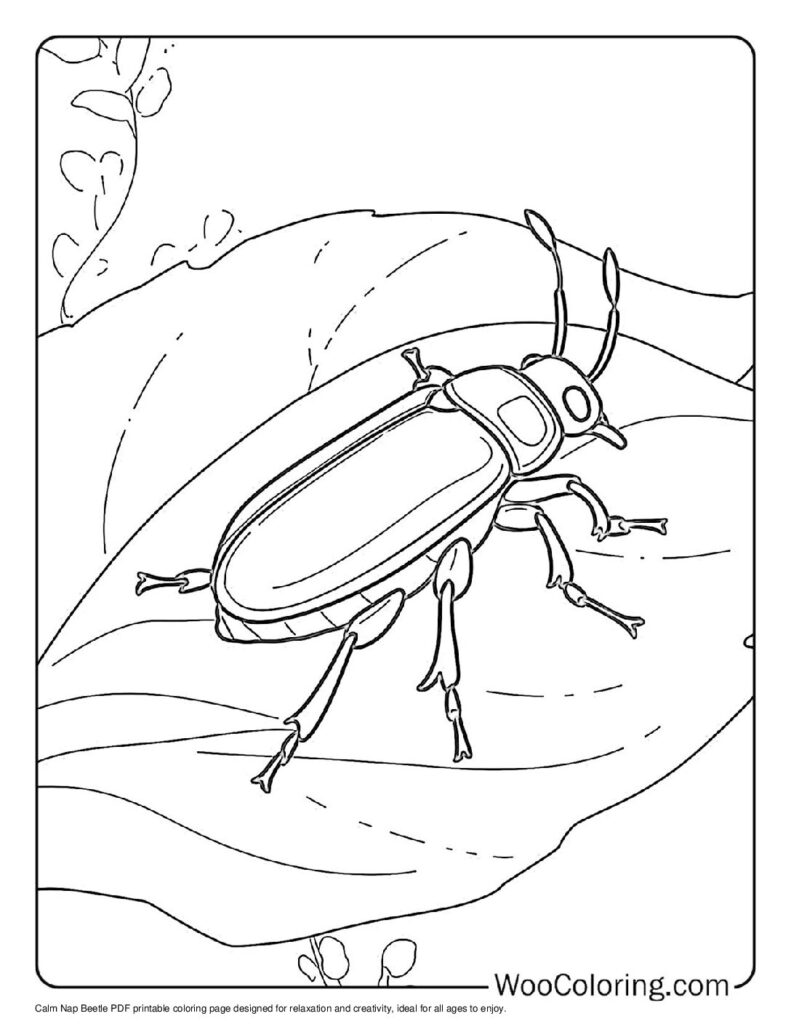 Calm Nap Beetle