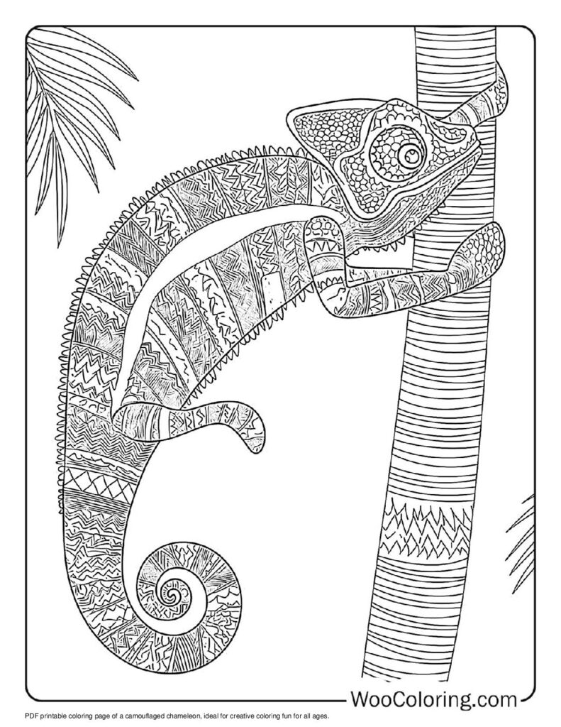 100  Chameleon coloring pages  Free PDF To Print  - 40