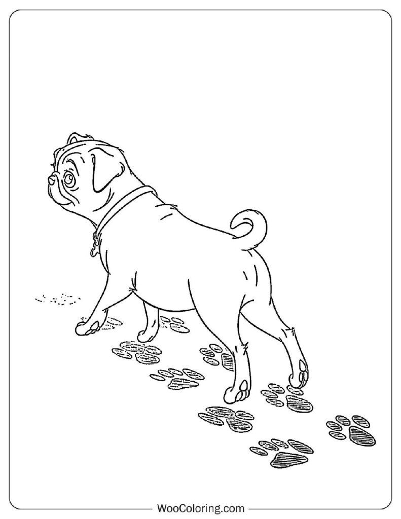 100 Pug coloring pages Free PDF To Print - 64