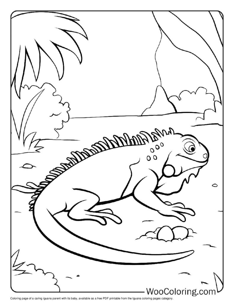 100 Iguana coloring pages Free PDF To Print - 74