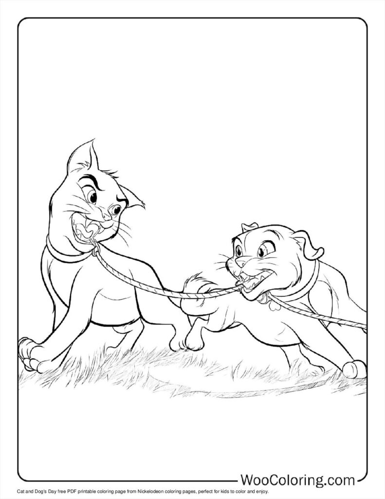 Cat and Dog's Day