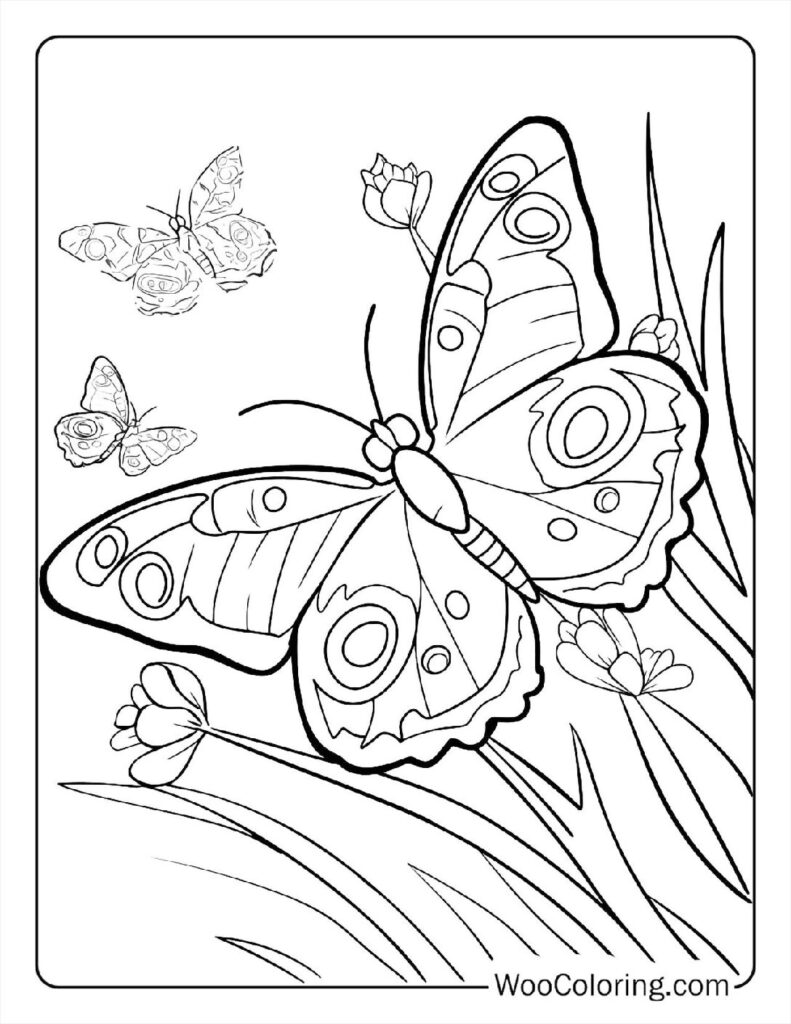 100  Butterfly coloring pages  Free PDF To Print  - 40