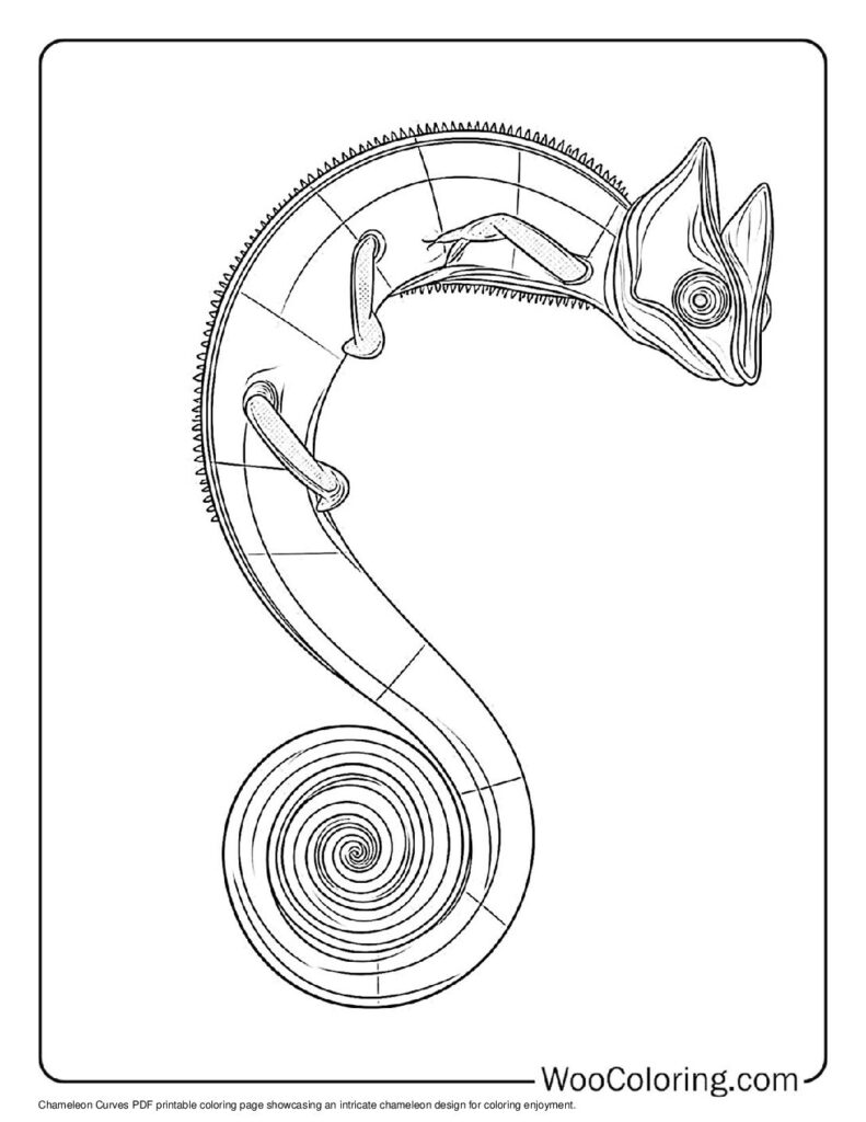 100  Chameleon coloring pages  Free PDF To Print  - 58