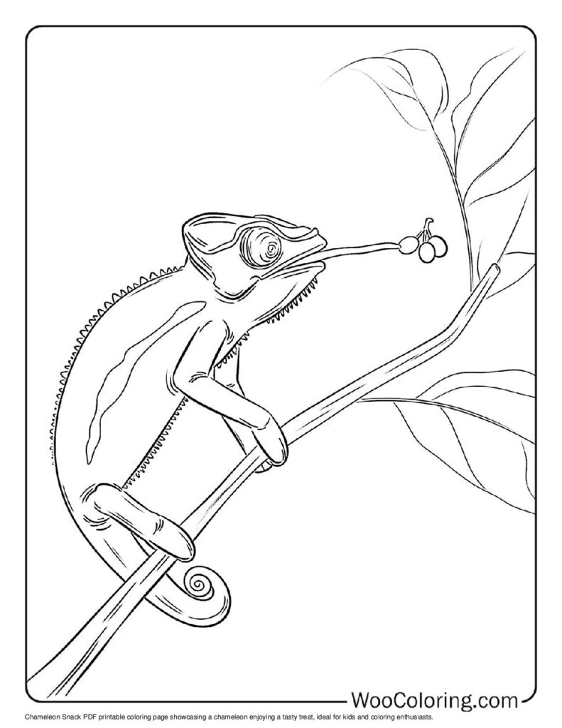 100  Chameleon coloring pages  Free PDF To Print  - 52