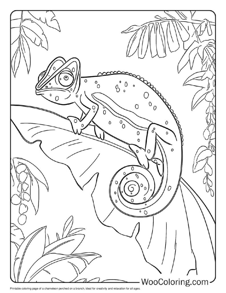 100  Chameleon coloring pages  Free PDF To Print  - 20