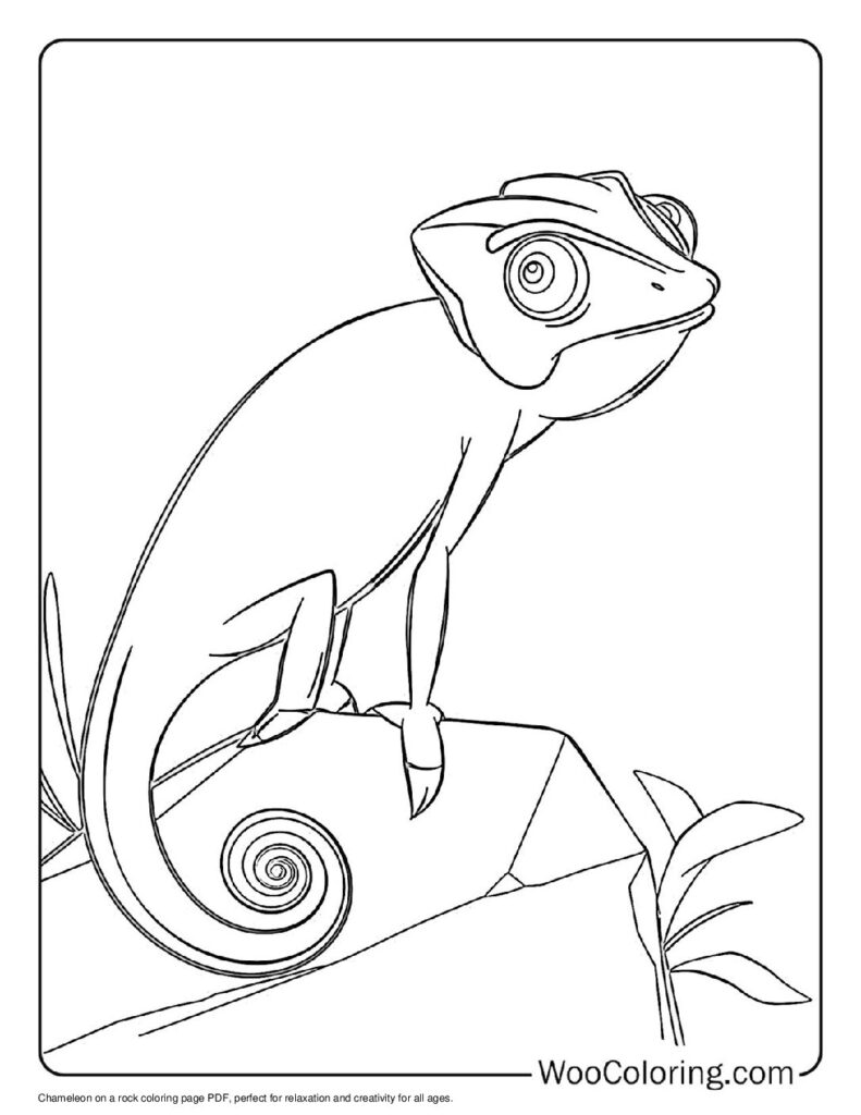 100  Chameleon coloring pages  Free PDF To Print  - 71