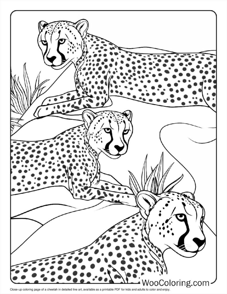 100  Cheetah coloring pages  Free PDF To Print  - 94