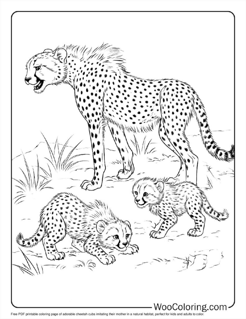 100  Cheetah coloring pages  Free PDF To Print  - 53
