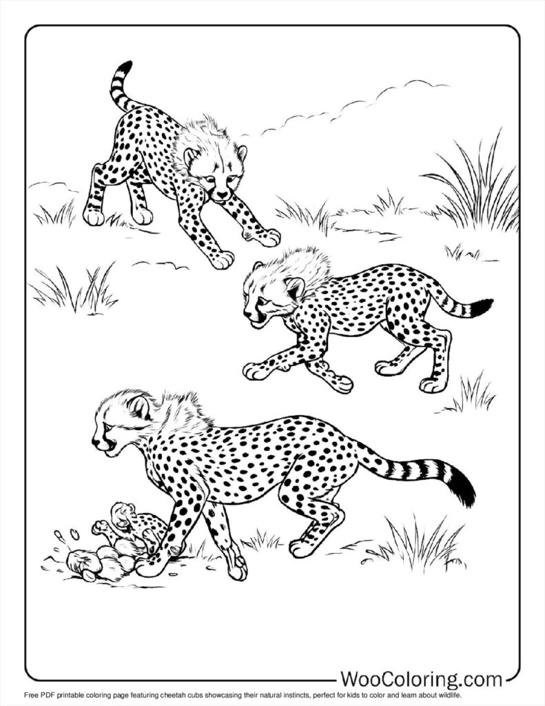 100  Cheetah coloring pages  Free PDF To Print  - 10