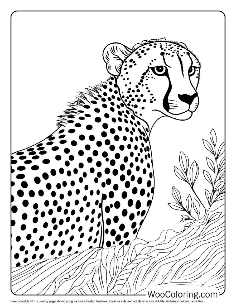 100  Cheetah coloring pages  Free PDF To Print  - 61