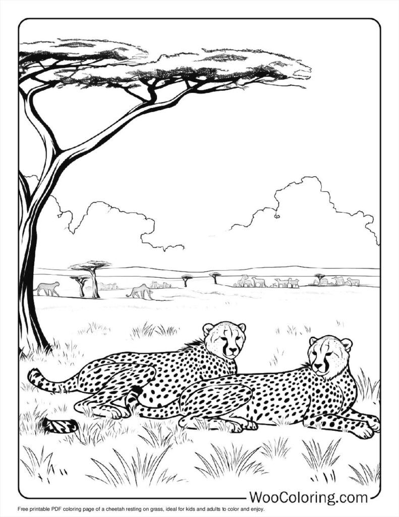 100  Cheetah coloring pages  Free PDF To Print  - 6