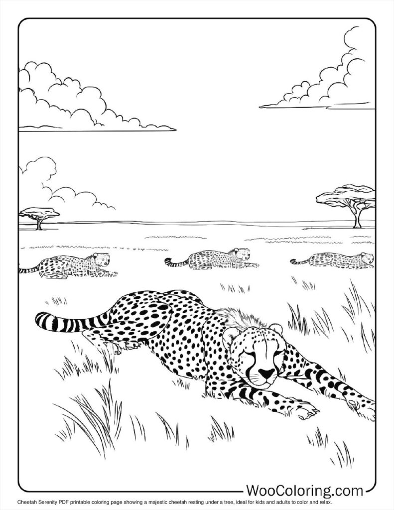 100  Cheetah coloring pages  Free PDF To Print  - 29
