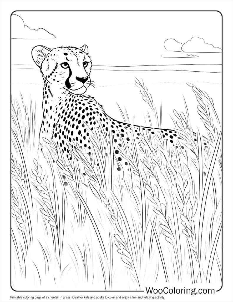 100  Cheetah coloring pages  Free PDF To Print  - 15