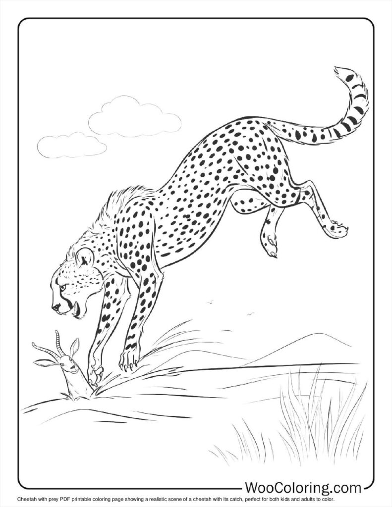 100  Cheetah coloring pages  Free PDF To Print  - 43