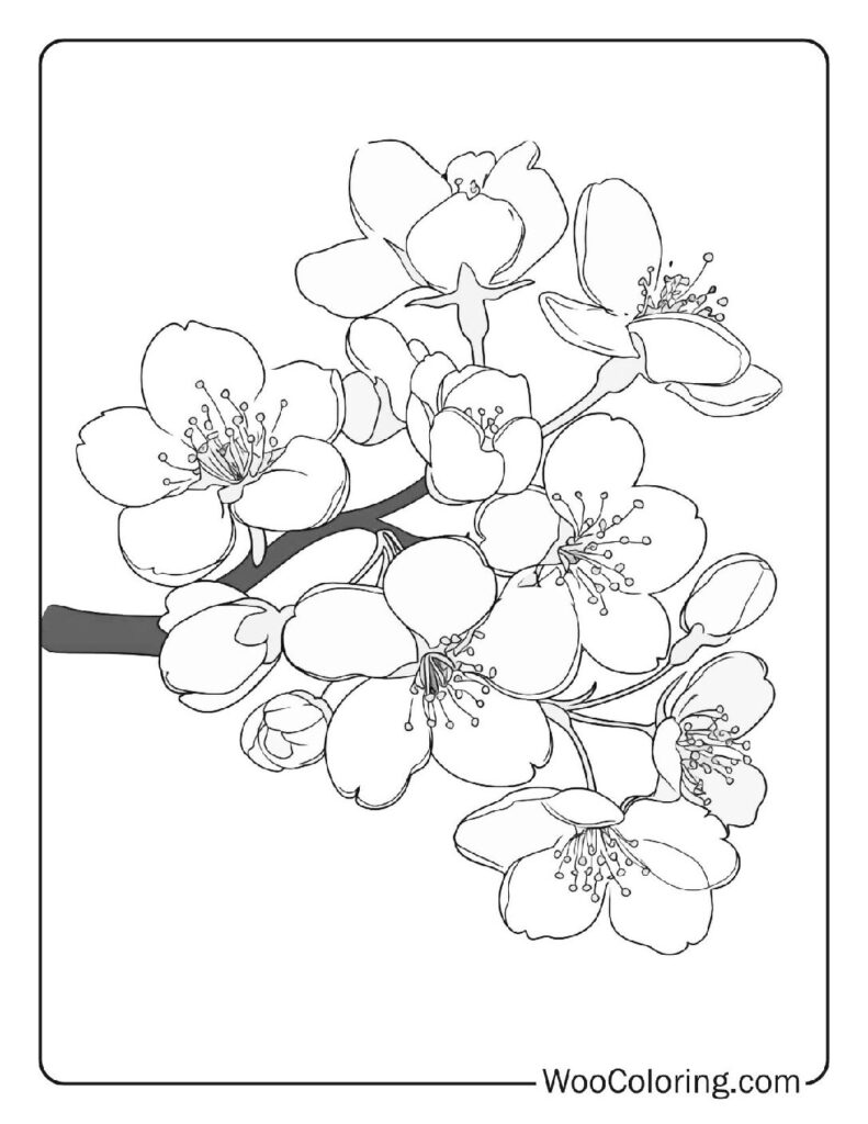 100 Flower coloring pages Free PDF To Print - 10