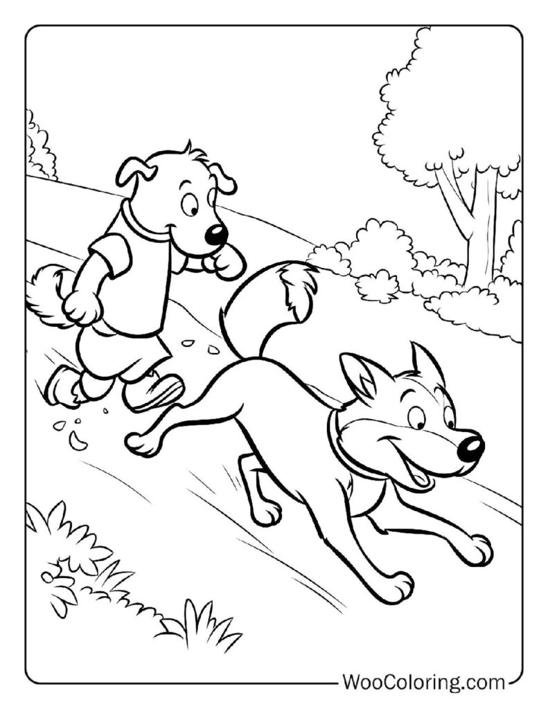 Chief Pursues Tod Coloring Page