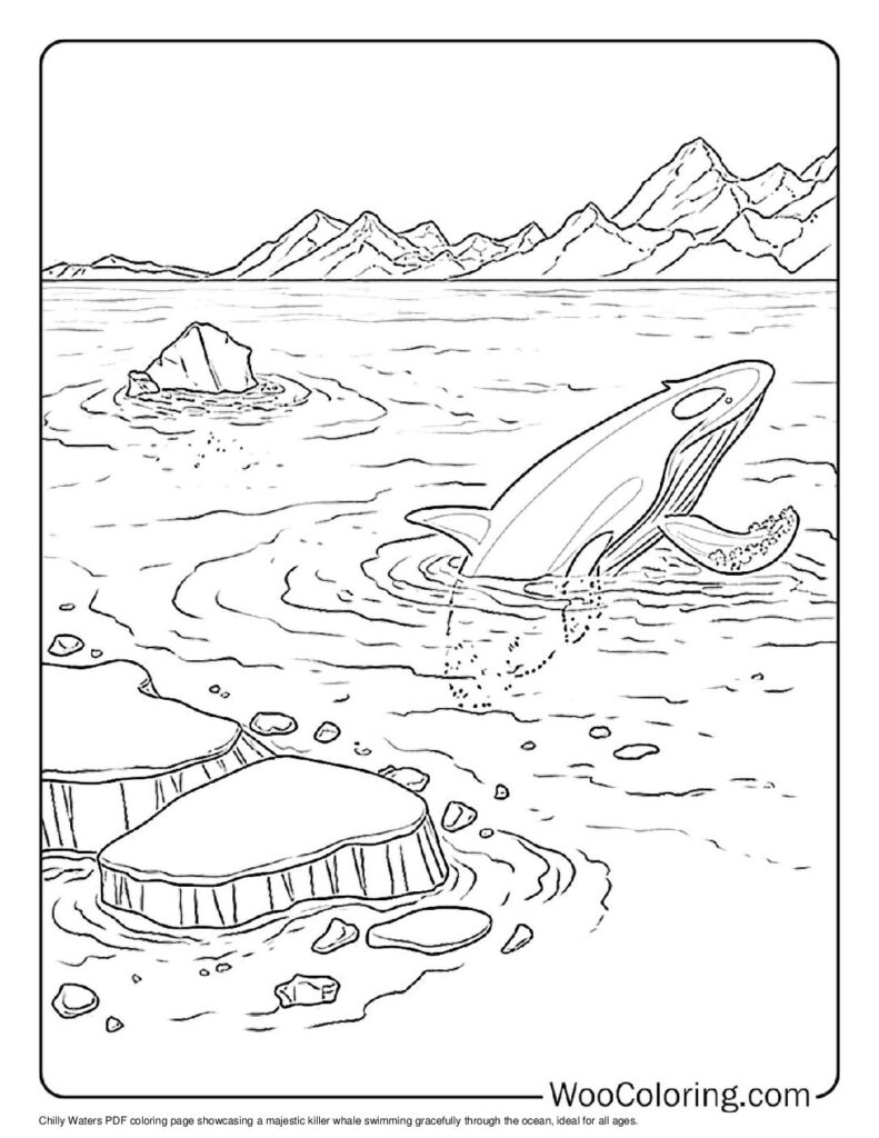 100  Killer Whale coloring pages  Free PDF To Print  - 91