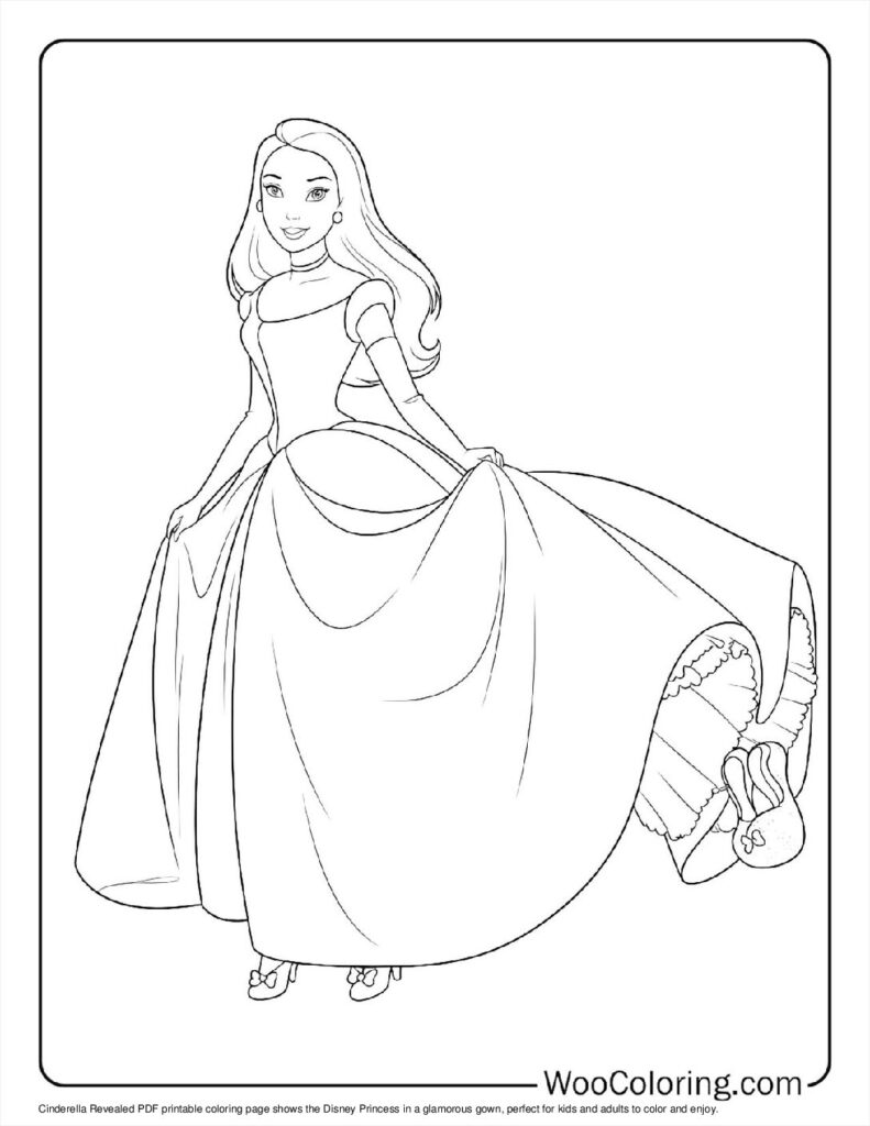 Cinderella Revealed