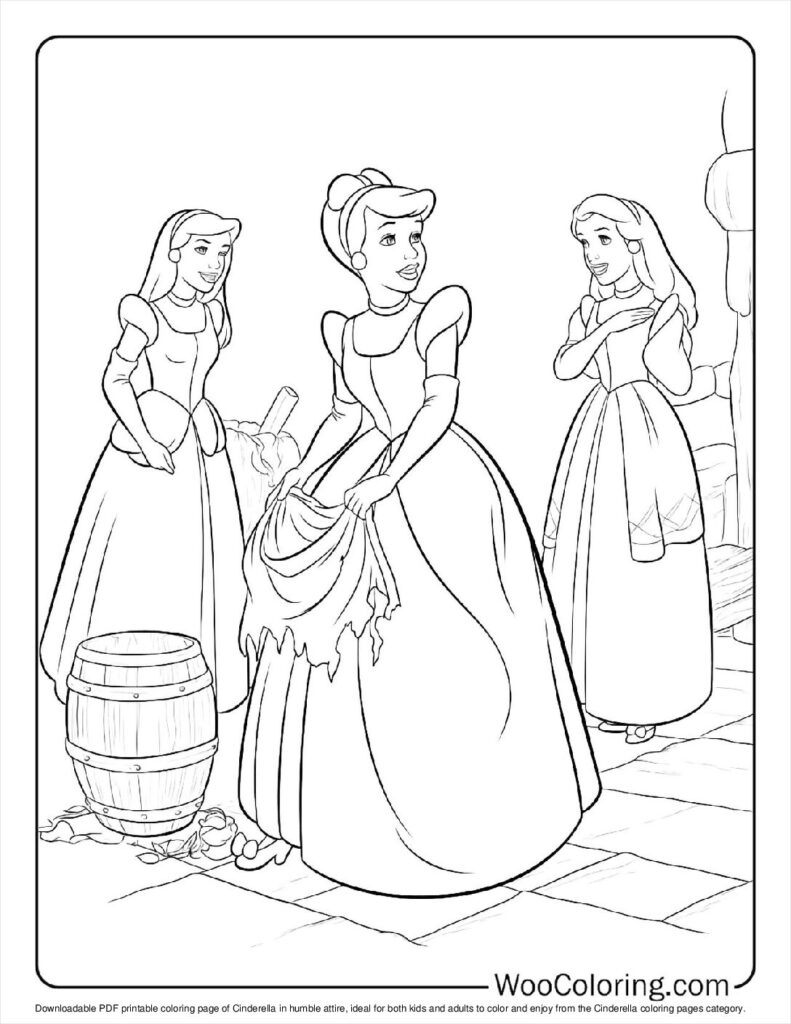 Cinderella's Humble Attire