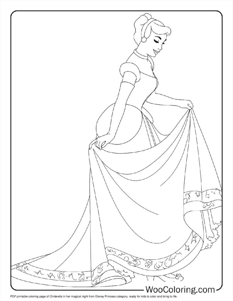 Cinderella's Magical Night