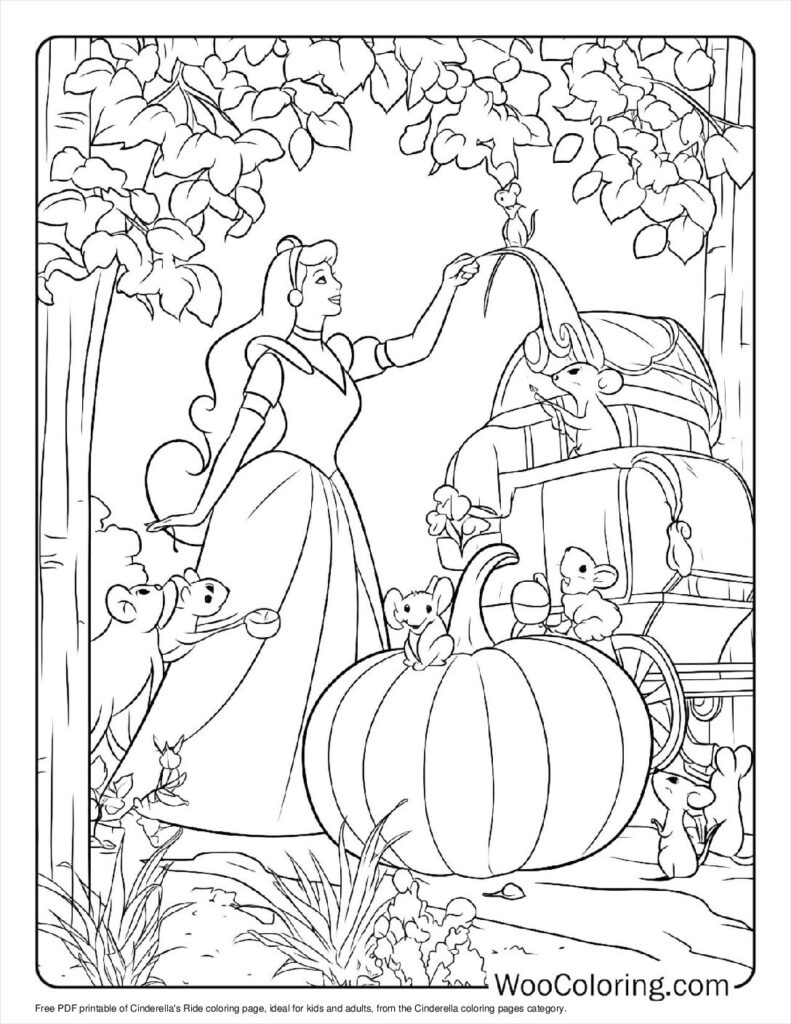 Cinderella's Ride
