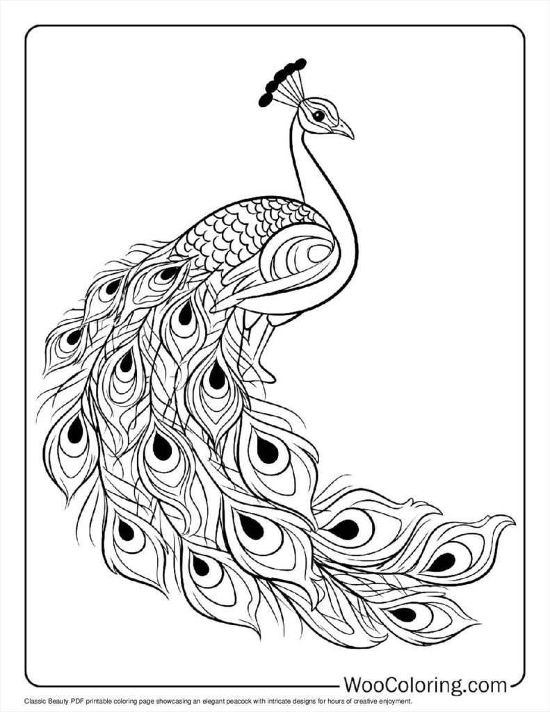 100  Peacock coloring pages  Free PDF To Print  - 13