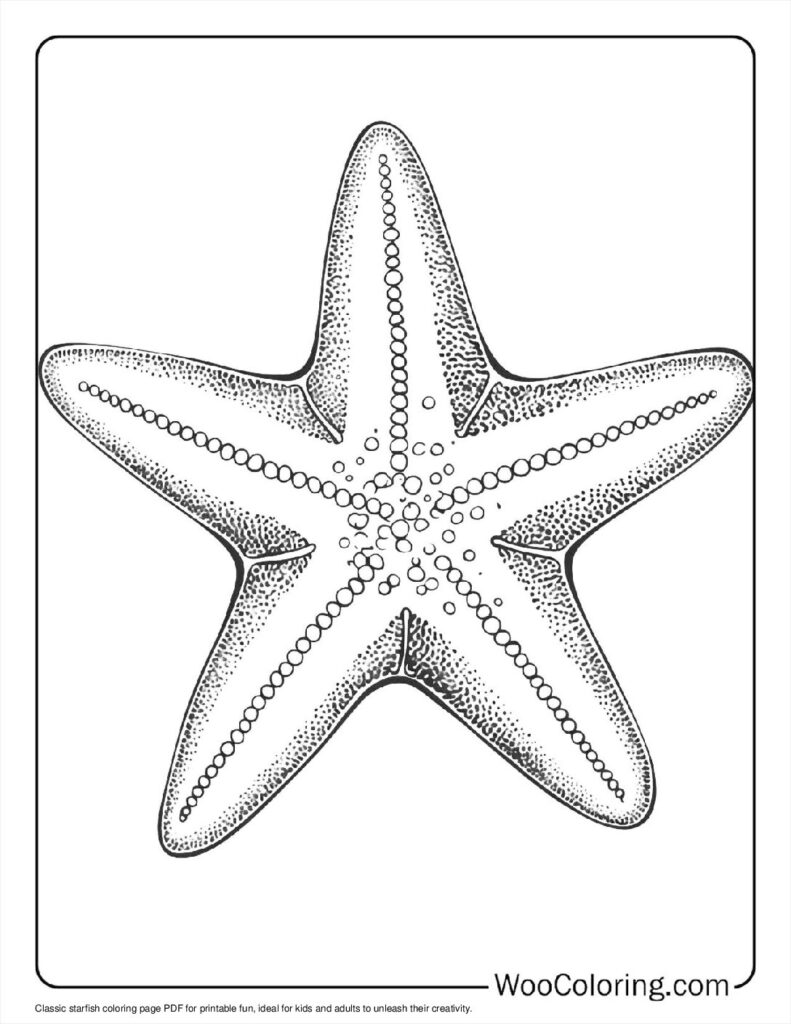 100  Starfish coloring pages  Free PDF To Print  - 8