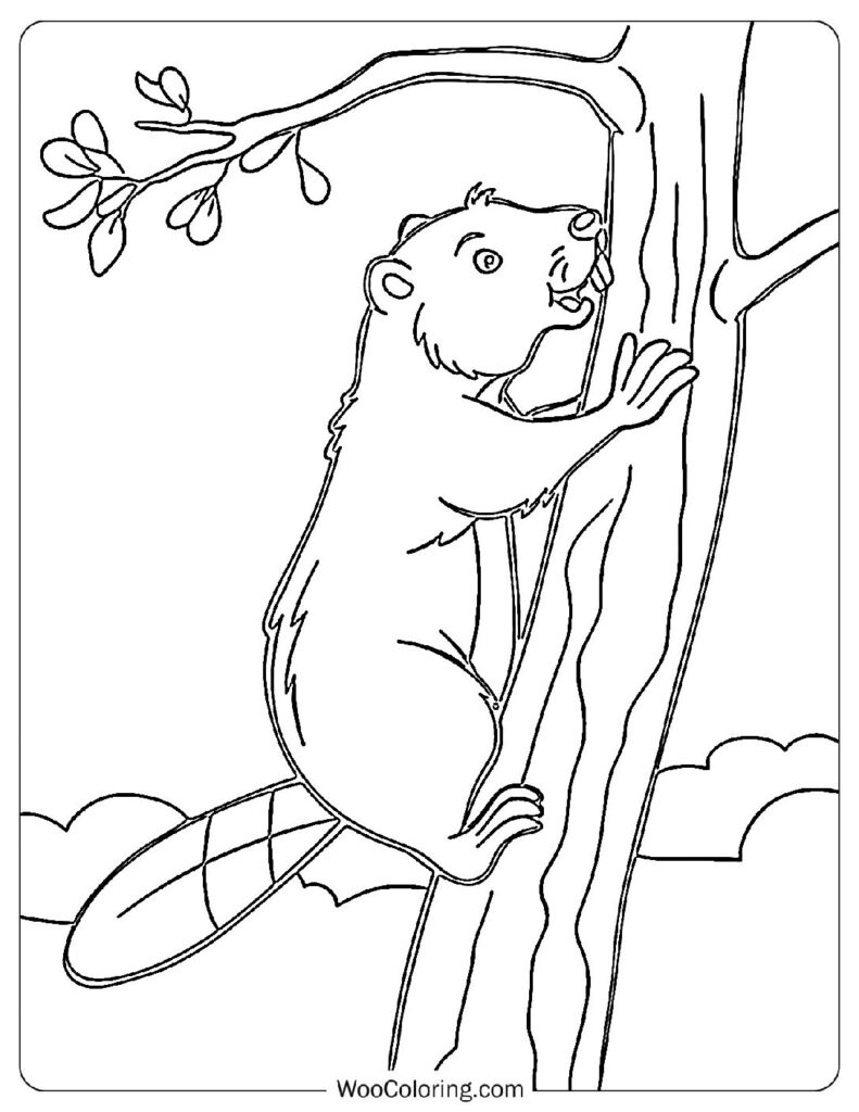 Climbing Beaver