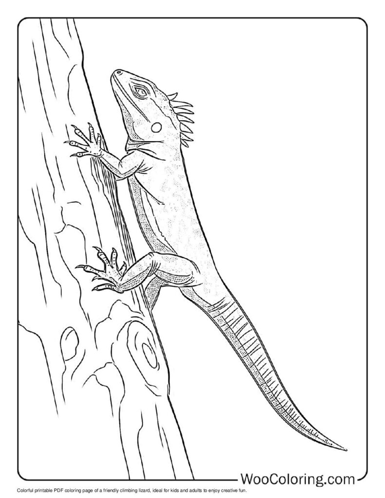 100  Lizard coloring pages  Free PDF To Print  - 61