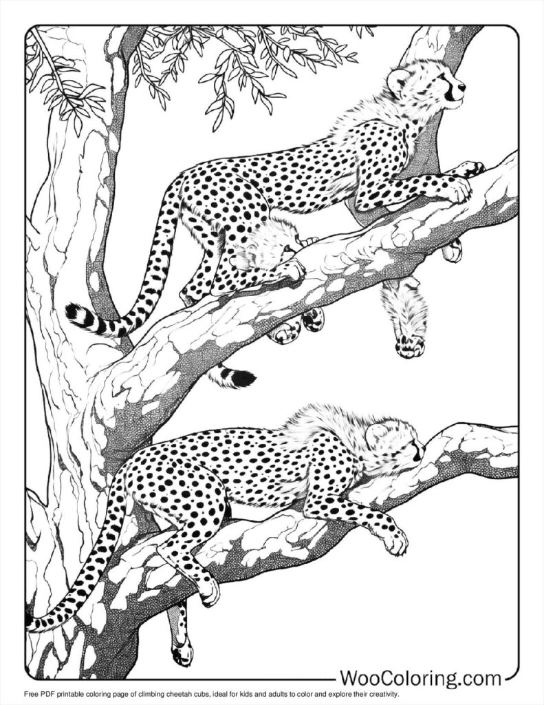 100  Cheetah coloring pages  Free PDF To Print  - 20