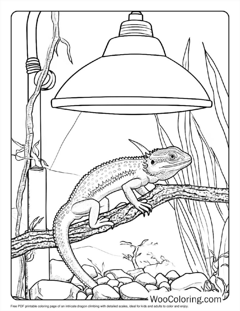 Climbing Dragon To Color