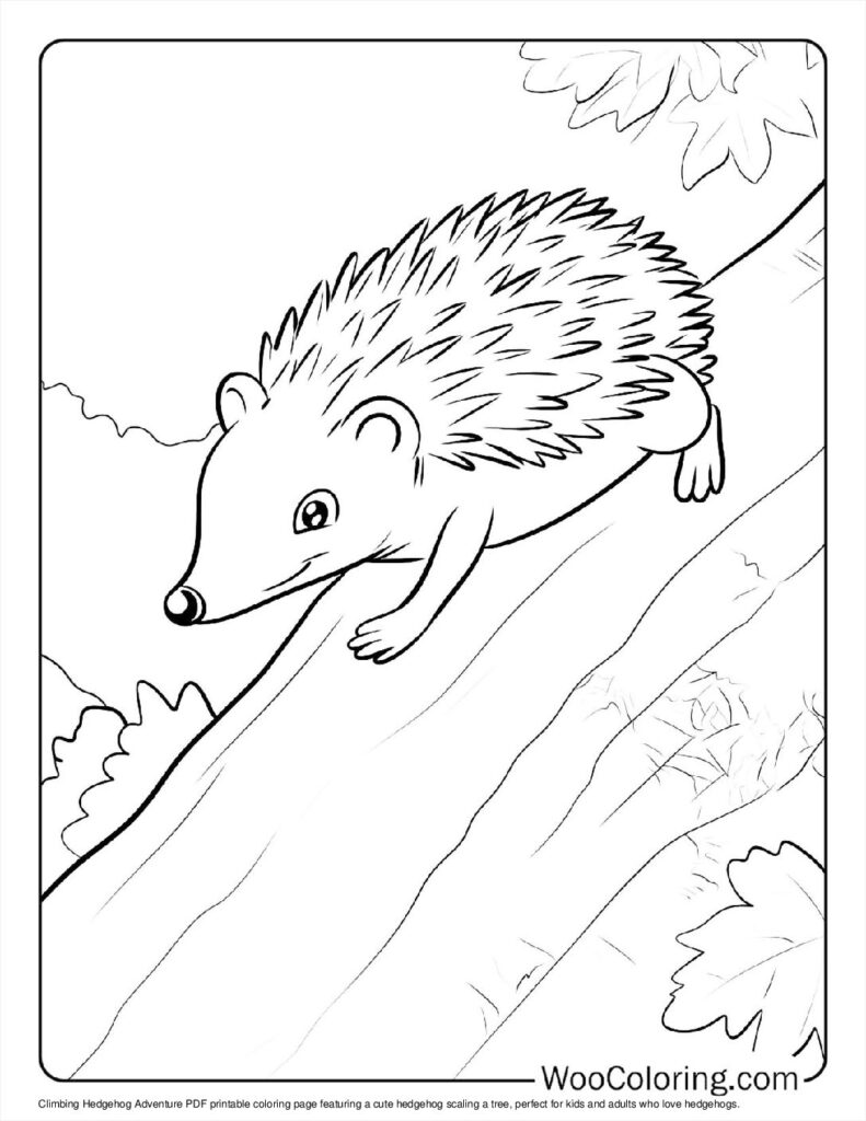 100  Hedgehog coloring pages  Free PDF To Print  - 24