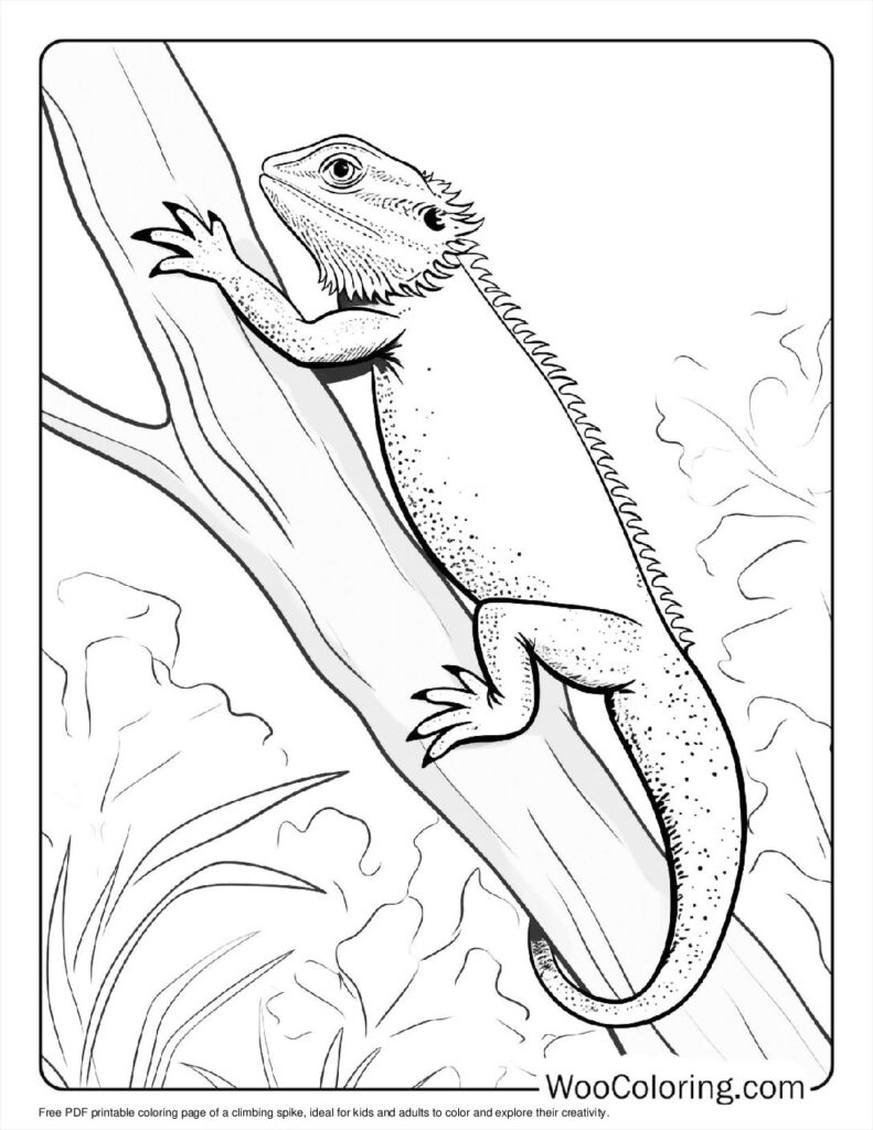 Climbing Spike Coloring In For Kids