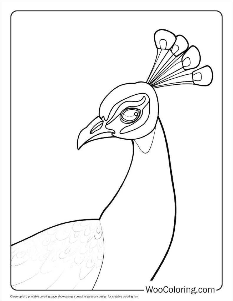 100  Peacock coloring pages  Free PDF To Print  - 3