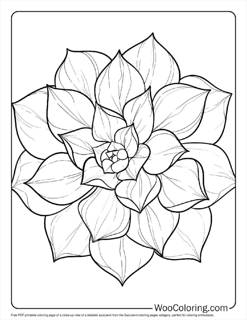 100  Succulent coloring pages  Free PDF To Print  - 65