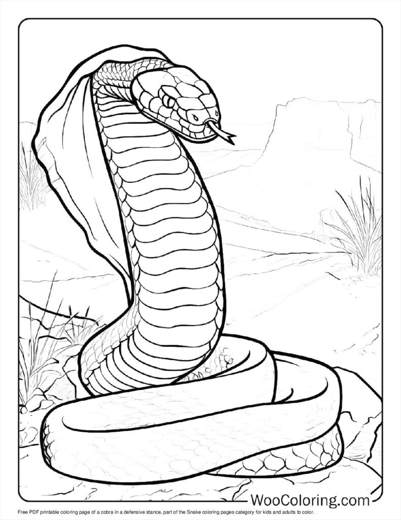 Cobra defensive stance