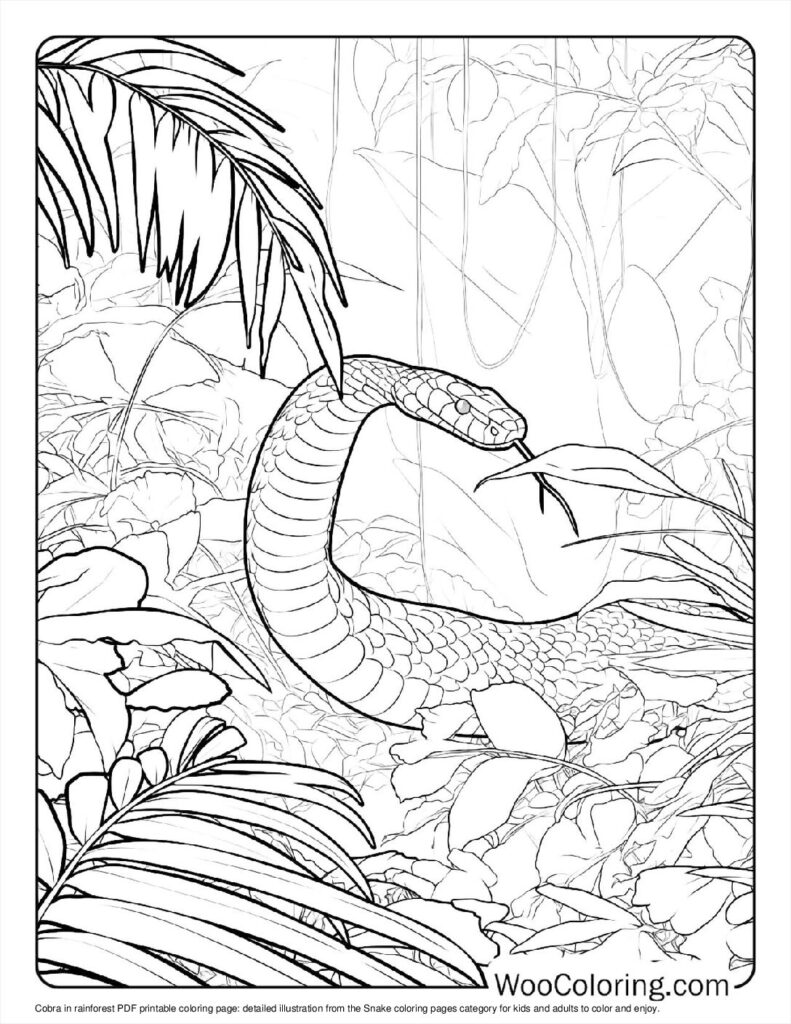 Cobra in rainforest For Kids
