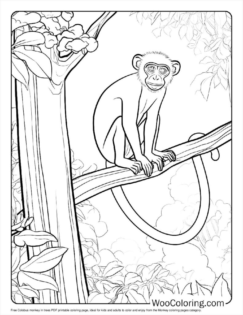 100  Monkey coloring pages  Free PDF To Print  - 67